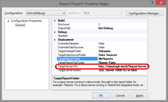 Project Properties with Target Server URL