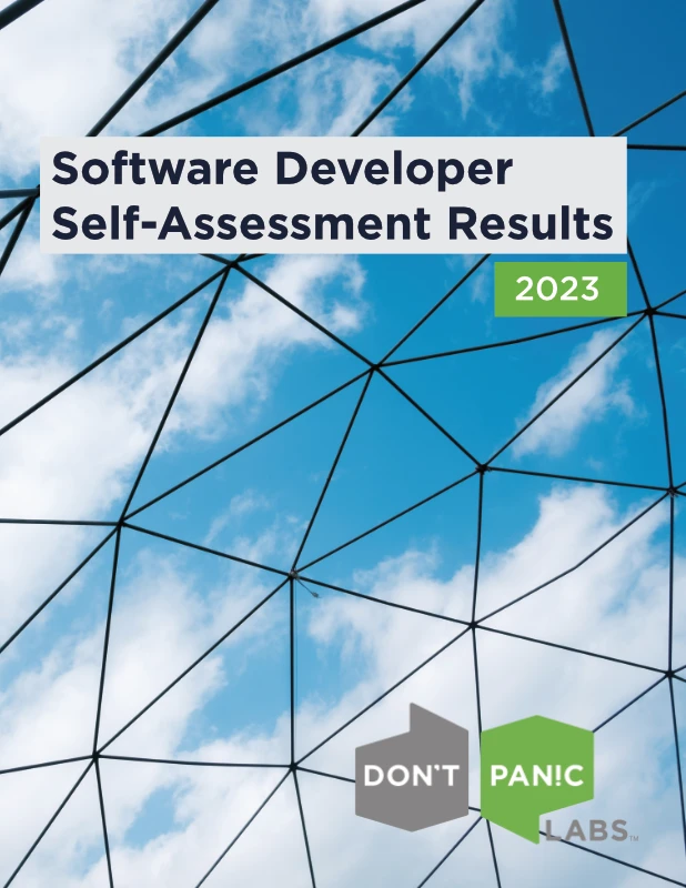 Software Developer Self-Assessment Results